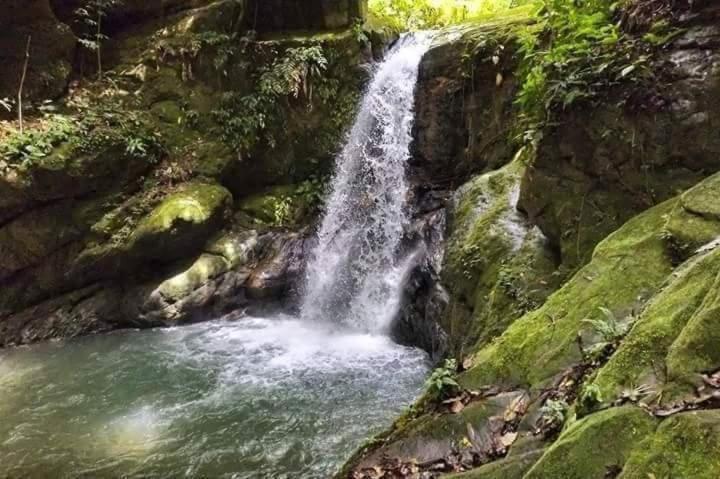 Hotel Posada Campestre San Juan Monterrey エクステリア 写真